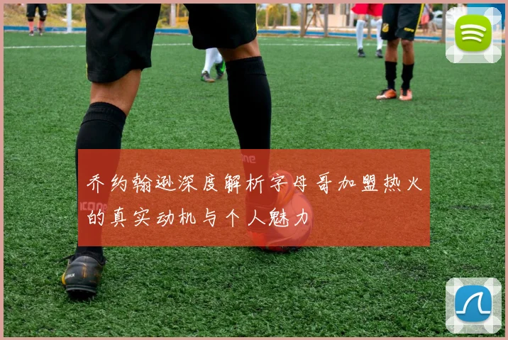 乔约翰逊深度解析字母哥加盟热火的真实动机与个人魅力